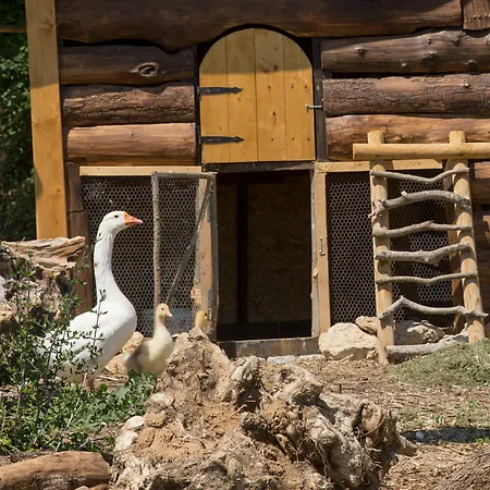 Agriturismo Le Anfore Bauernhof *
