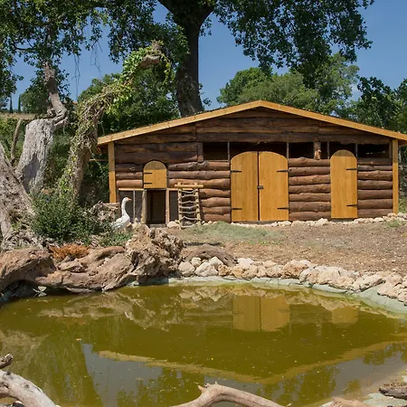Agriturismo Le Anfore Bauernhof *